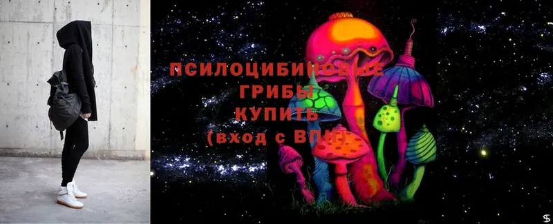 Псилоцибиновые грибы Cubensis  продажа наркотиков  Цоци-Юрт 